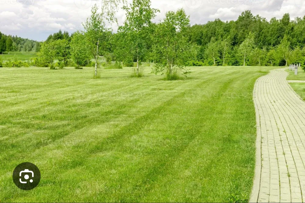 Professional landscape installation experts serving Carthage, NY - 3 Seasons Lawn &Exterior Maintenance