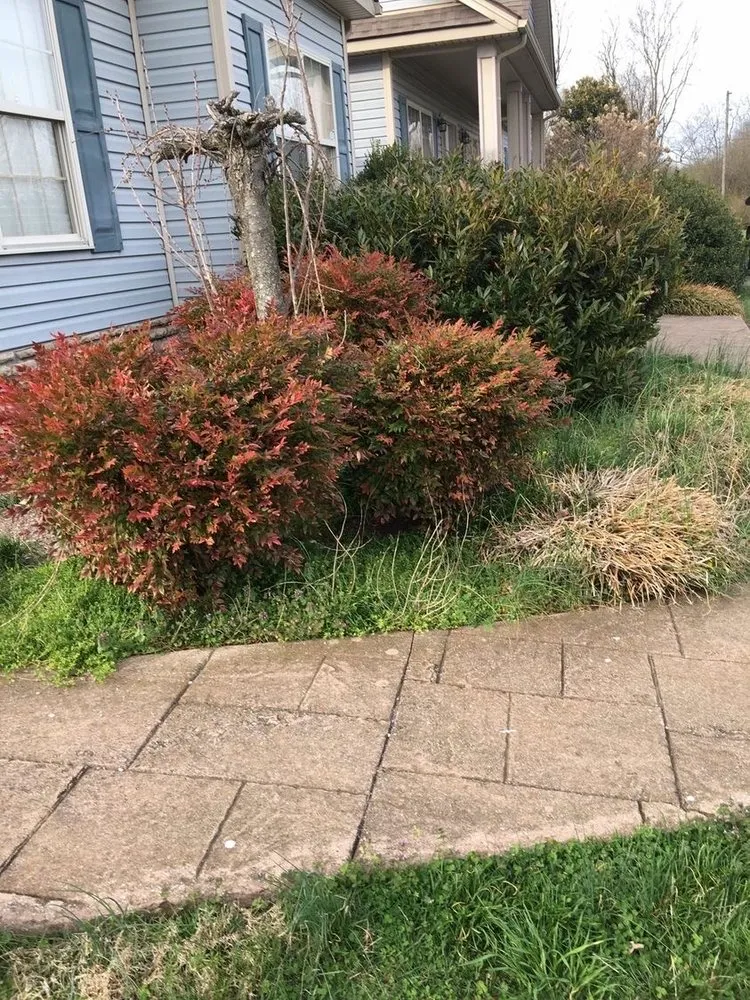 Top-rated landscape design experts serving Nicholasville, KY - 3 Sons Landscaping