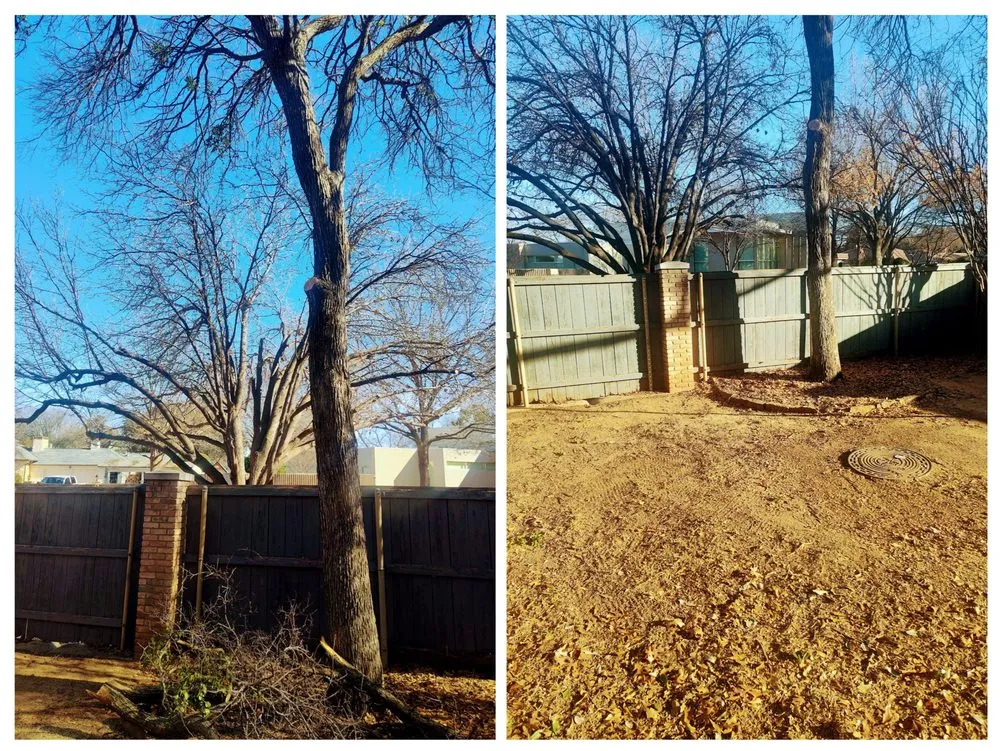 Reliable yard cleanup service in Wichita Falls, TX by 3 T Tree service & more
