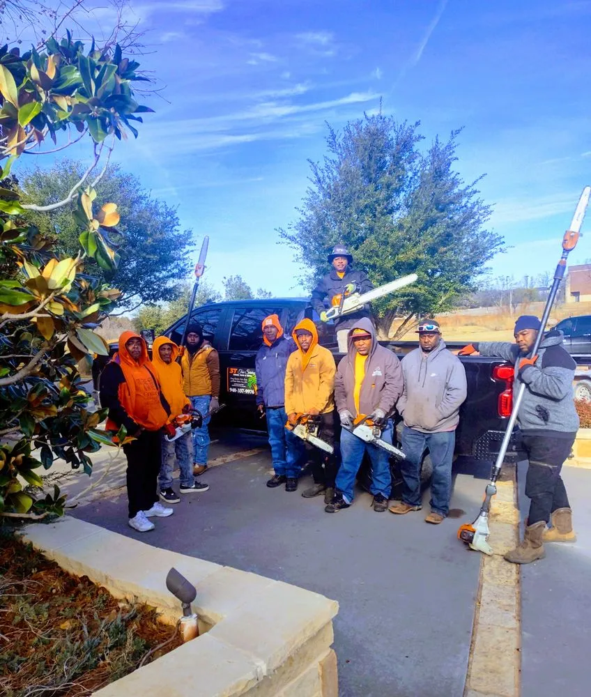 Expert lawn care service with custom design in Wichita Falls, TX by 3 T Tree service & more