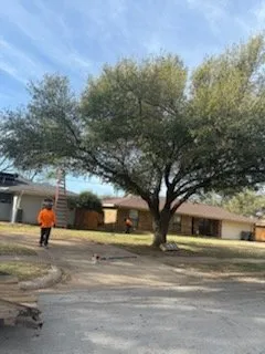 Custom garden landscaping for year-round maintenance in Wichita Falls, TX by 3 T Tree service & more