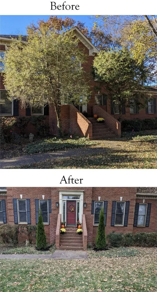 Reliable outdoor landscaping for year-round maintenance across Hendersonville, TN - 3 Tree