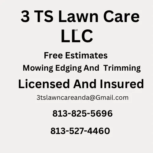 Custom landscape design for year-round maintenance in Lutz, FL by 3 TS Lawn Care