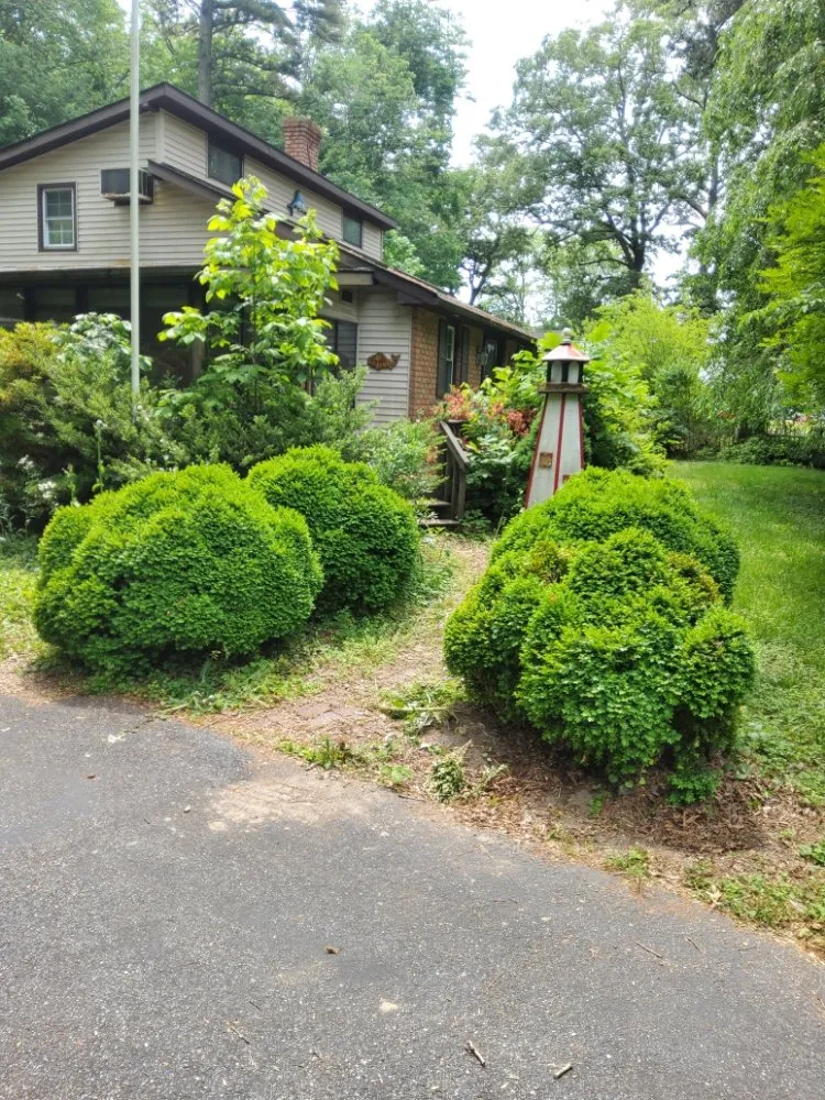 Trusted yard cleanup service near you across Dover, DE - 3 Wide Lawn Care