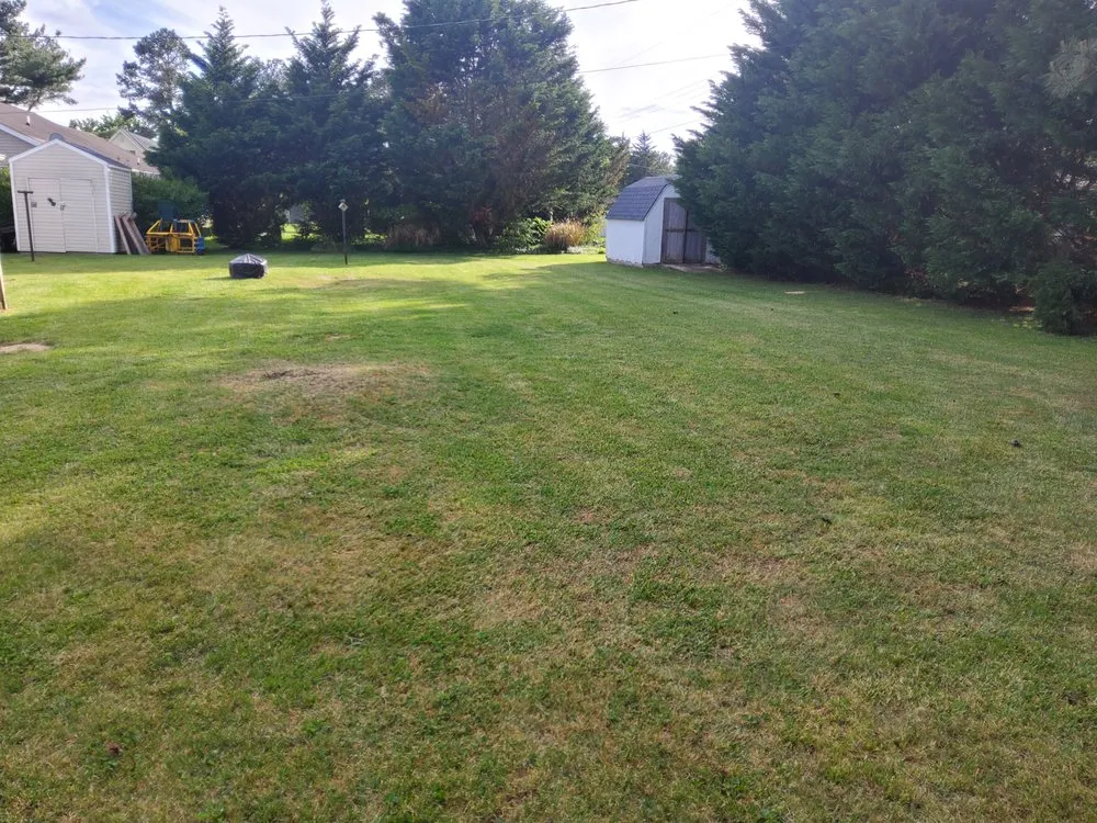 Trusted landscape installation experts serving Dover, DE - 3 Wide Lawn Care