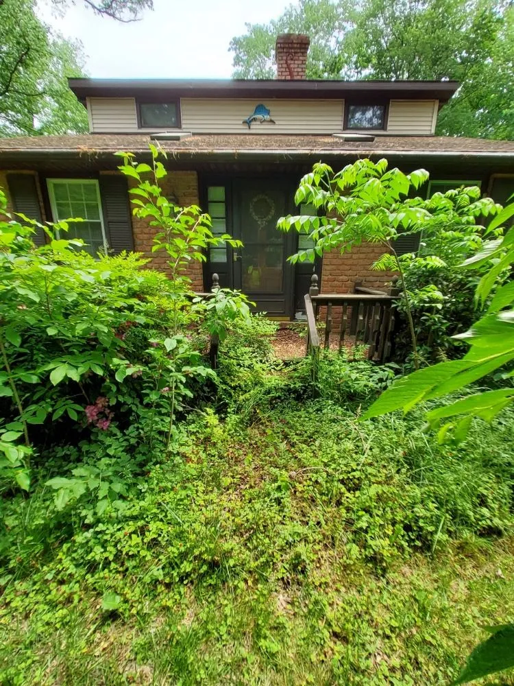 Top-rated yard cleanup service experts serving Dover, DE - 3 Wide Lawn Care