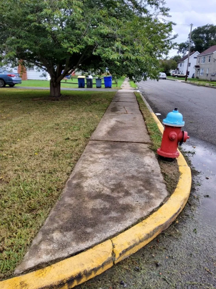 Expert landscaping services in Dover, DE by 3 Wide Lawn Care