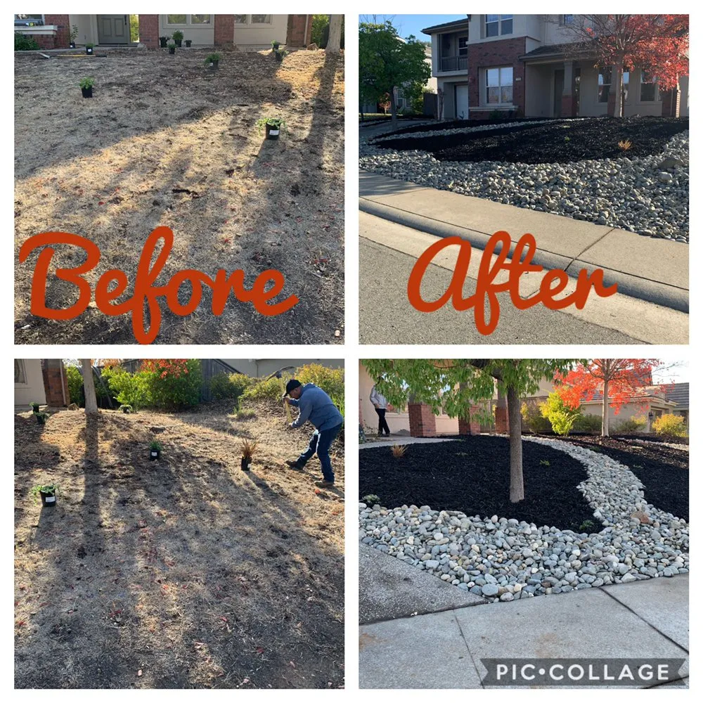 Trusted outdoor landscaping experts serving El Dorado Hills, CA - 3 Ys Lawn Service