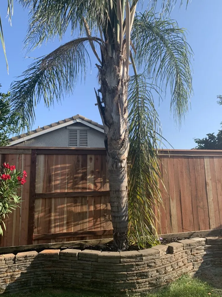 Affordable outdoor landscaping in El Dorado Hills, CA - 3 Ys Lawn Service