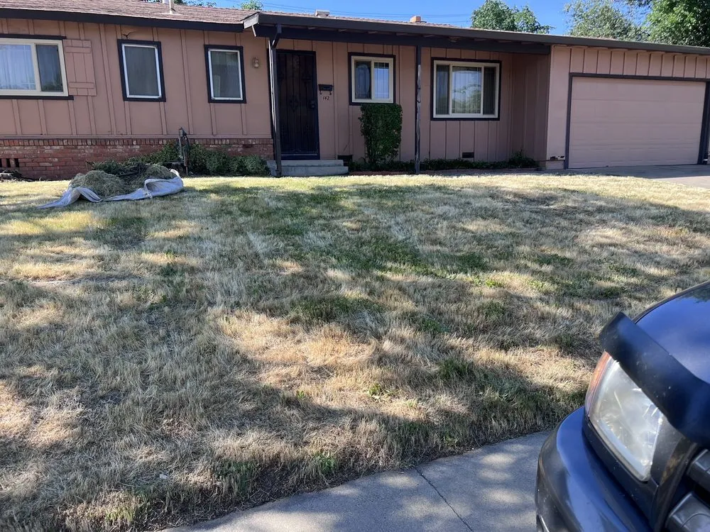 Affordable outdoor landscaping in El Dorado Hills, CA by 3 Ys Lawn Service