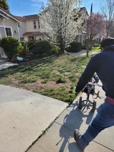 Professional landscape installation in El Dorado Hills, CA by 3 Ys Lawn Service