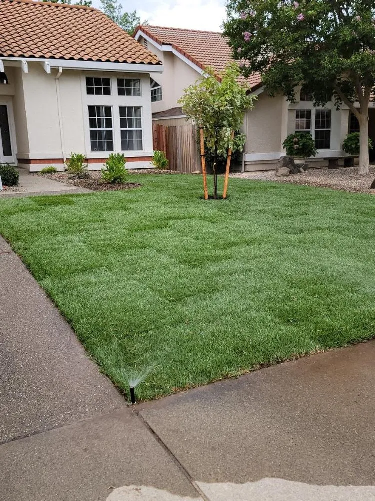 Top-rated residential landscaping for homes in El Dorado Hills, CA by 3 Ys Lawn Service