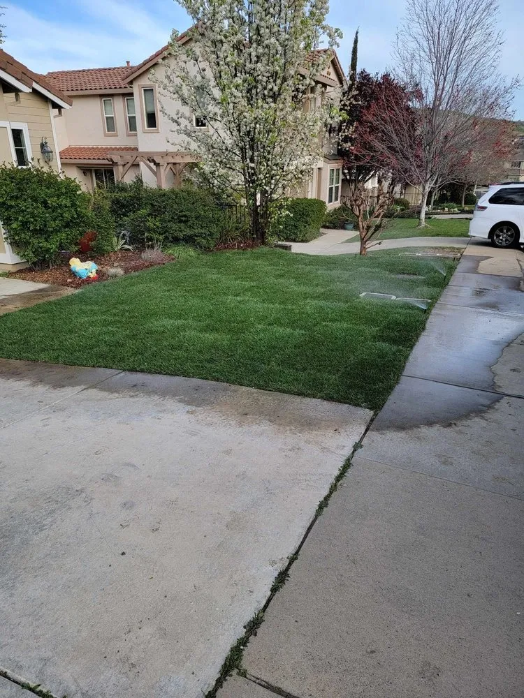 Reliable landscaping services for homes across El Dorado Hills, CA - 3 Ys Lawn Service