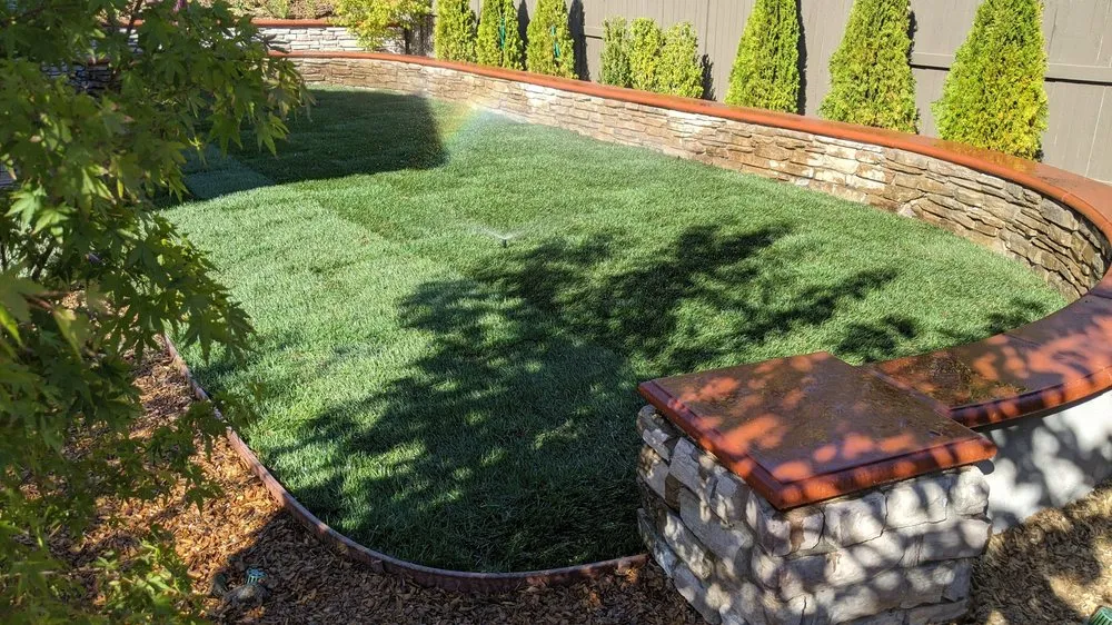 Top-rated lawn mowing service in El Dorado Hills, CA - 3 Ys Lawn Service