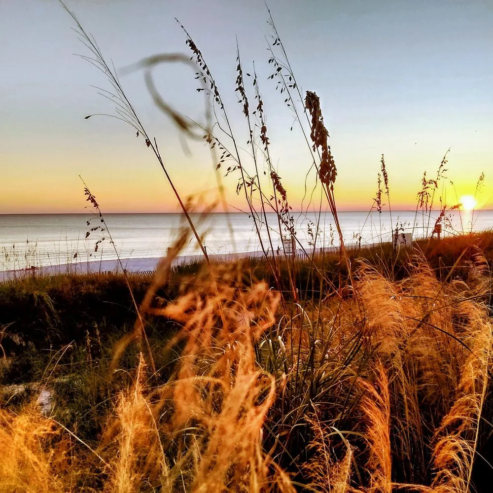 Trusted lawn care service in DeFuniak Springs, FL - 30 A Beach Boyz Lawn Care Services