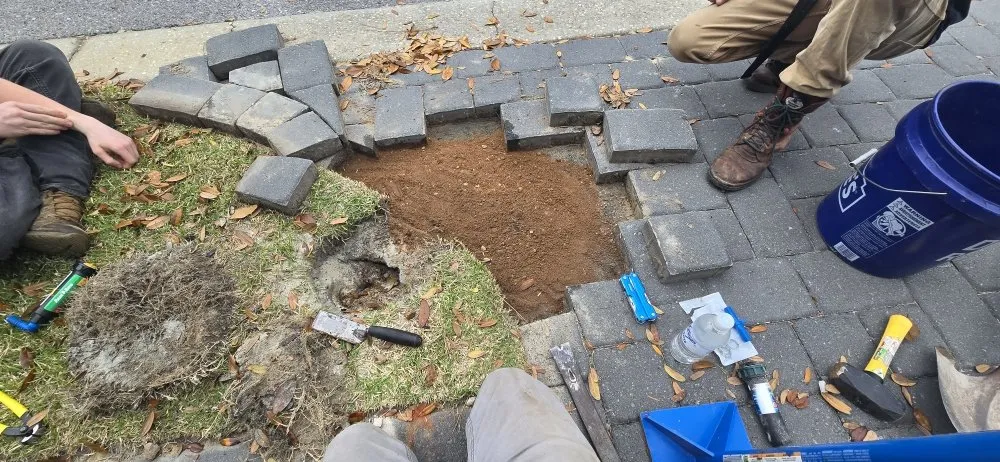 Reliable outdoor landscaping experts serving DeFuniak Springs, FL - 30 A Beach Boyz Lawn Care Services