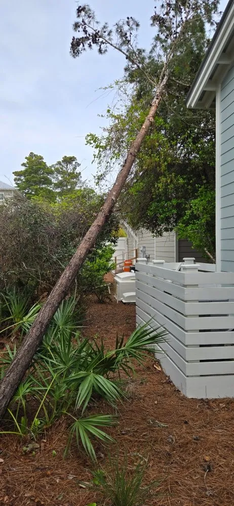 Expert garden landscaping for residential properties across DeFuniak Springs, FL - 30 A Beach Boyz Lawn Care Services