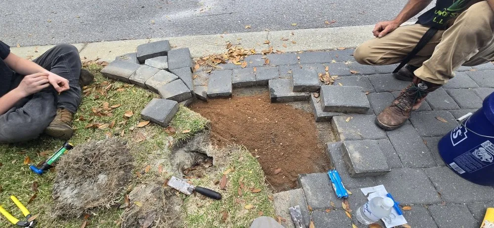 Top-rated lawn mowing service in DeFuniak Springs, FL by 30 A Beach Boyz Lawn Care Services