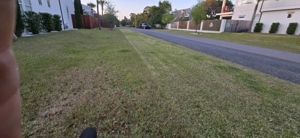 Affordable yard cleanup service in DeFuniak Springs, FL by 30 A Beach Boyz Lawn Care Services