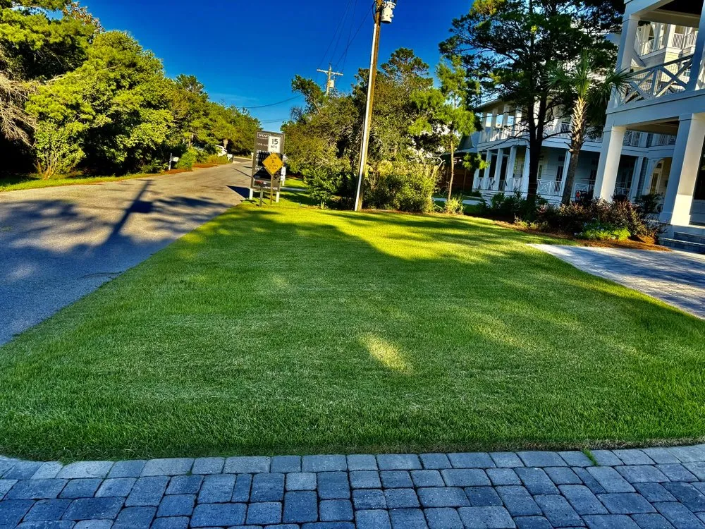 Expert lawn care service experts serving Laguna Beach, FL - 30 A Groundskeeping