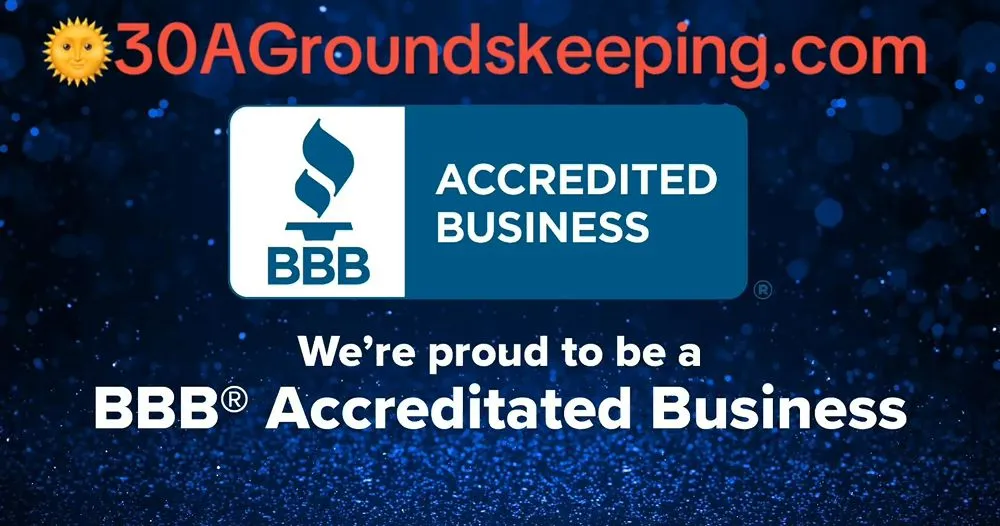 Local yard cleanup service in Laguna Beach, FL - 30 A Groundskeeping