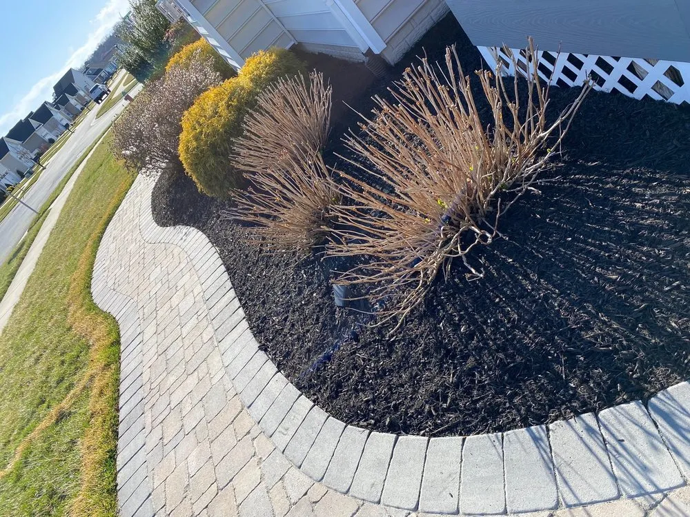 Trusted yard maintenance experts serving Laurel, DE - 302 Yardworks