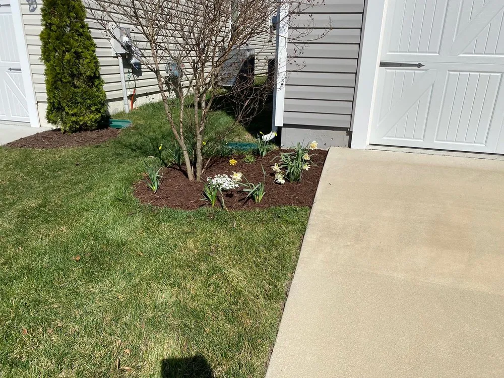 Professional yard cleanup service in Laurel, DE by 302 Yardworks