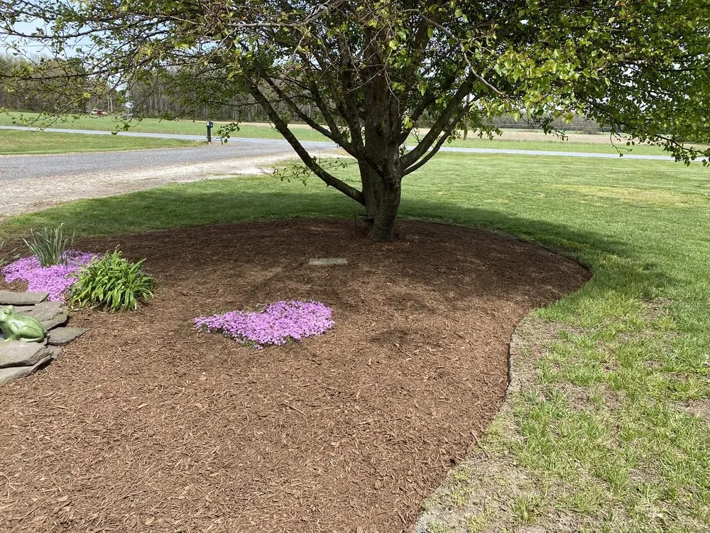 Local landscaping services for residential properties across Laurel, DE - 302 Yardworks