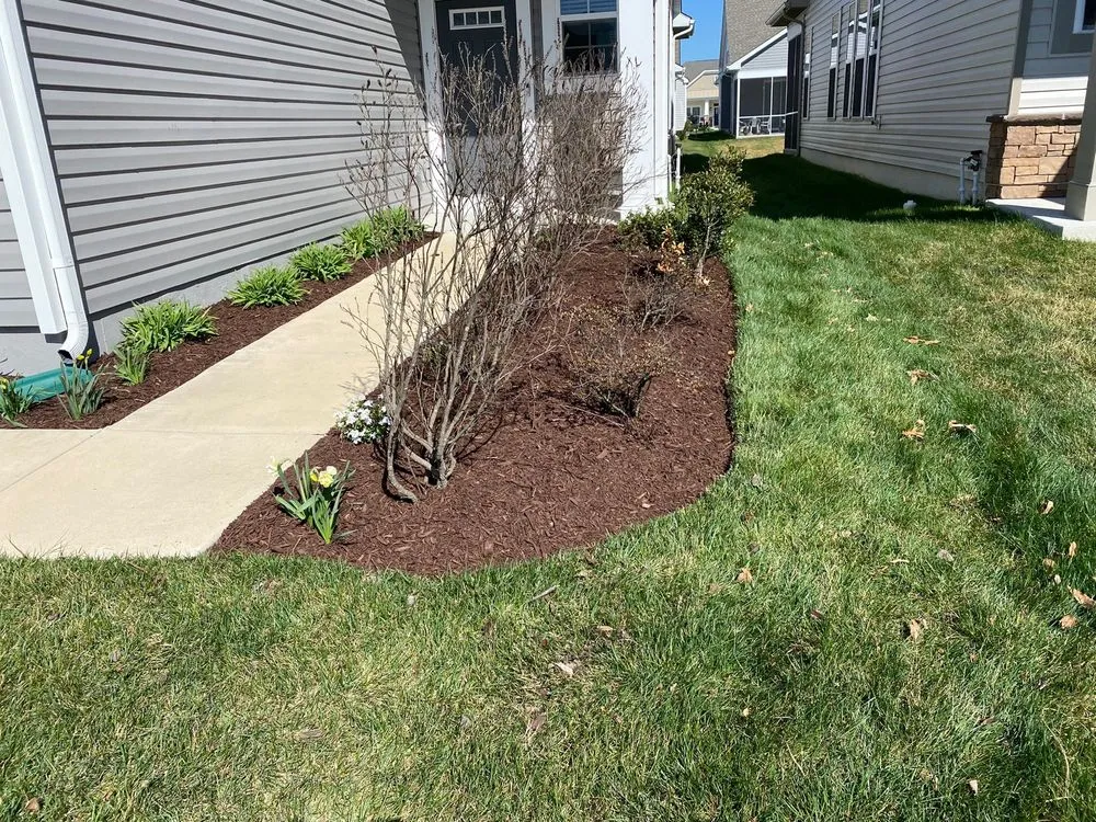 Trusted lawn care service for beautiful yards in Laurel, DE by 302 Yardworks