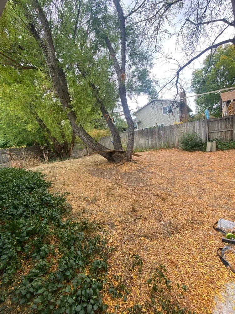 Trusted yard maintenance in Denver, CO by 303 Lawn and Landscape