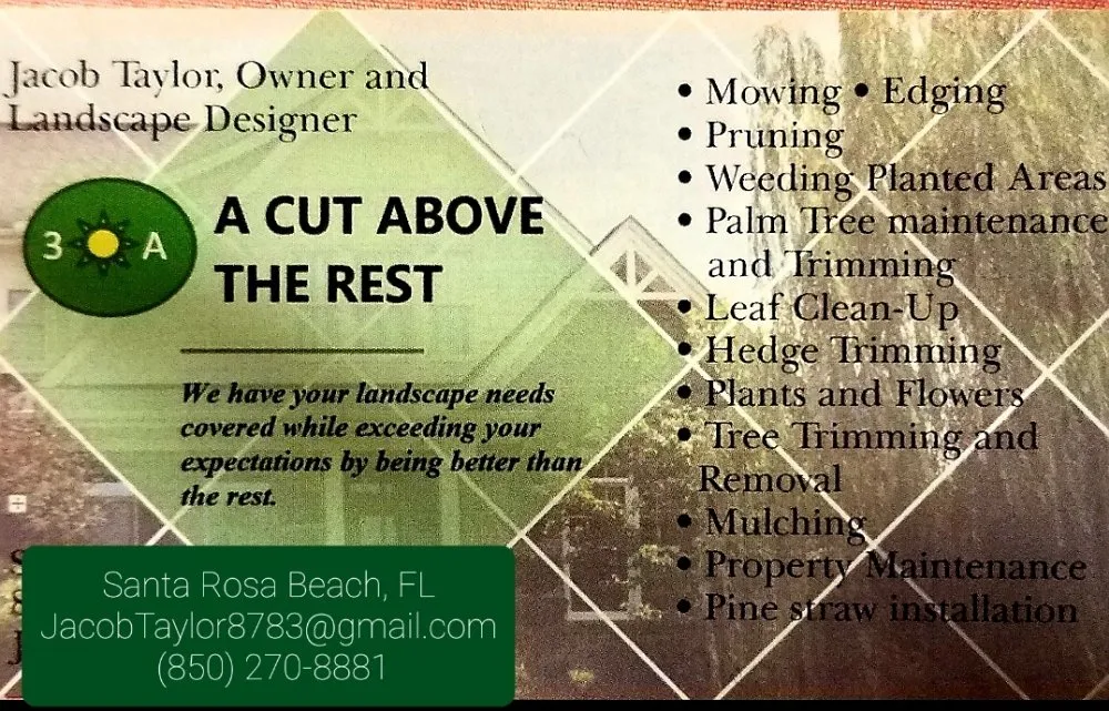 Professional yard cleanup service experts serving Santa Rosa Beach, FL - 30A A Cut Above The Rest