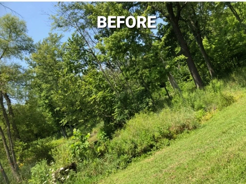 Local yard cleanup service in Santa Rosa Beach, FL by 30A A Cut Above The Rest