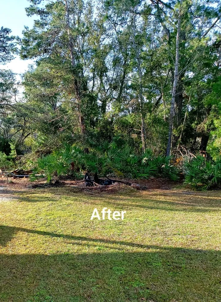 Top-rated landscape design in Santa Rosa Beach, FL - 30A A Cut Above The Rest