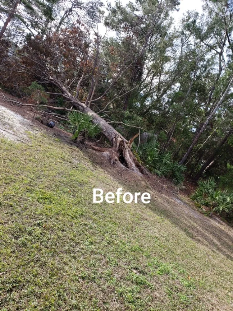 Expert yard maintenance in Santa Rosa Beach, FL - 30A A Cut Above The Rest