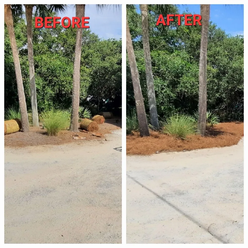 Expert lawn care service in Santa Rosa Beach, FL by 30A A Cut Above The Rest