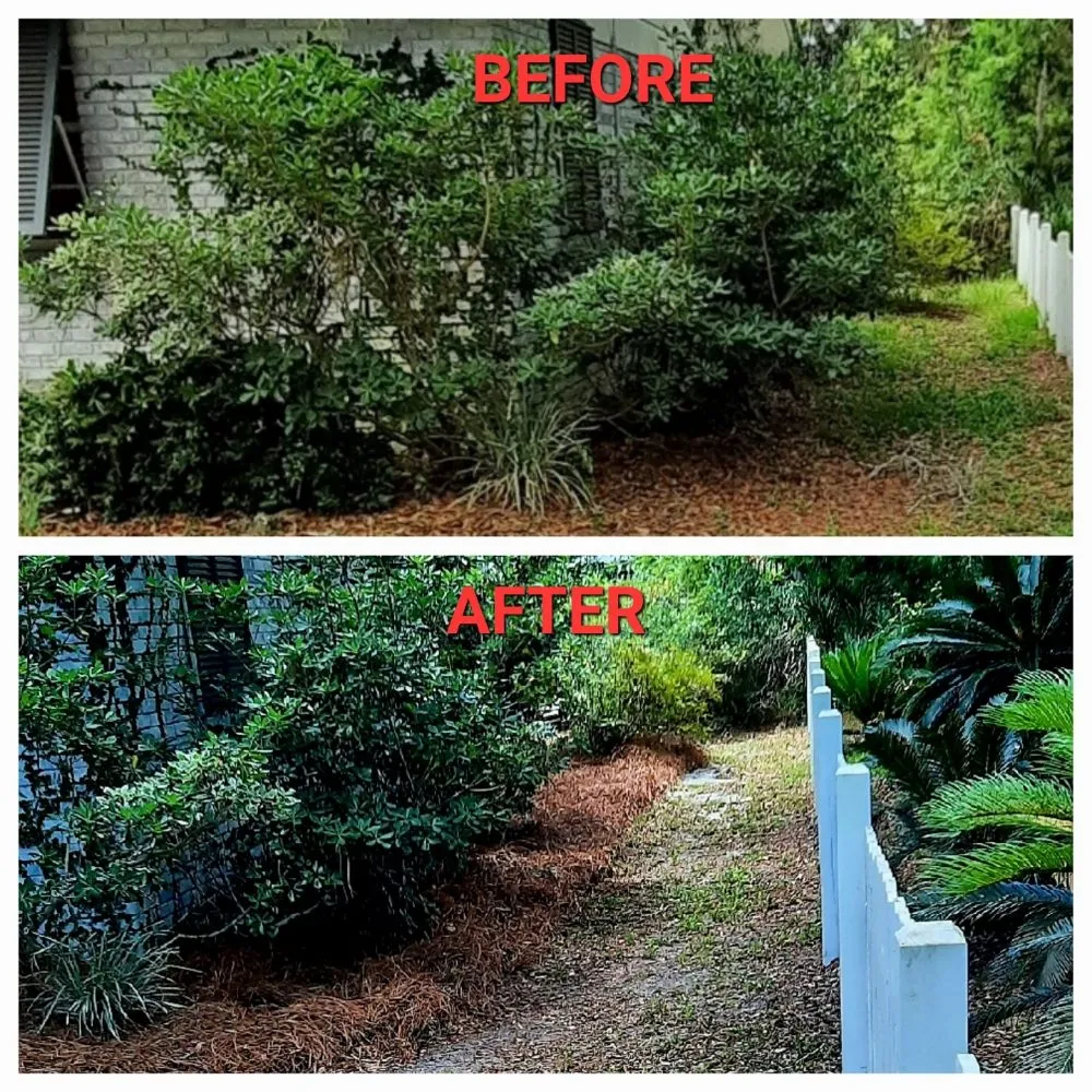 Trusted garden landscaping in Santa Rosa Beach, FL by 30A A Cut Above The Rest