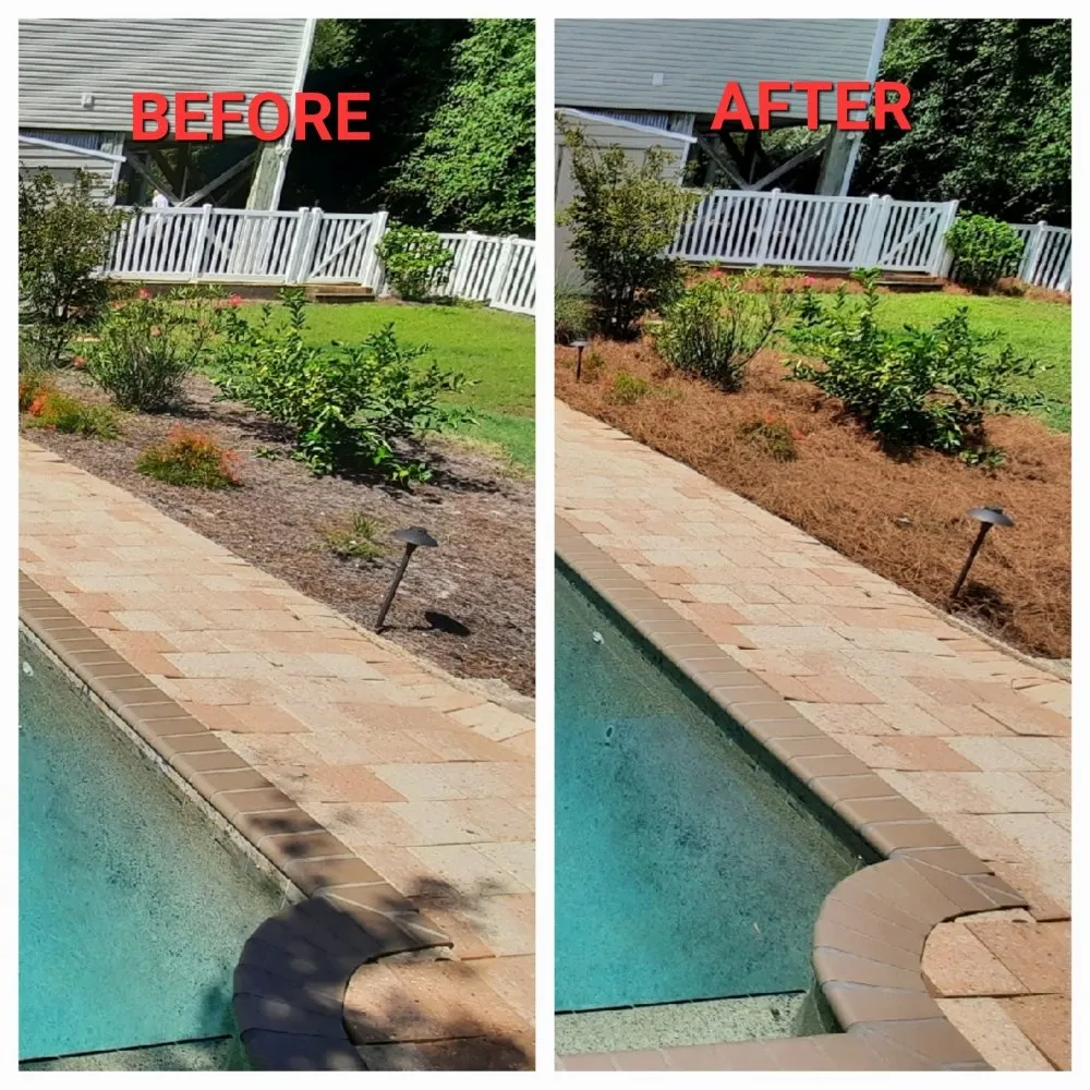 Trusted yard cleanup service near you in Santa Rosa Beach, FL by 30A A Cut Above The Rest
