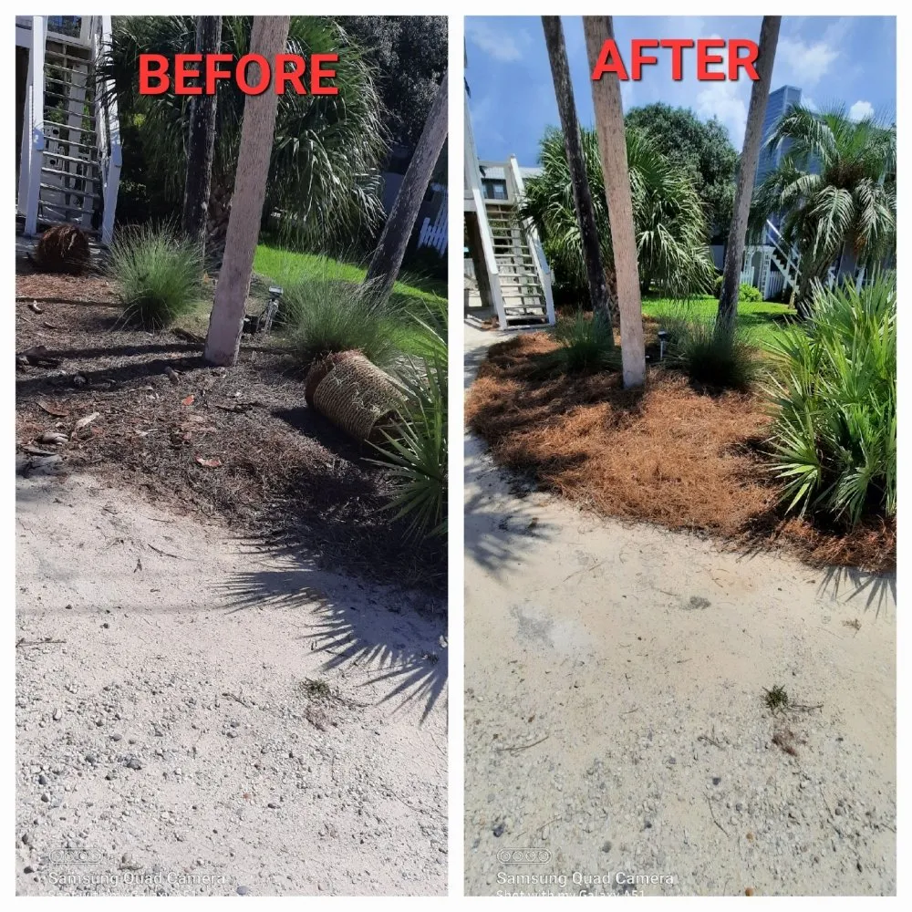 Trusted residential landscaping in Santa Rosa Beach, FL by 30A A Cut Above The Rest