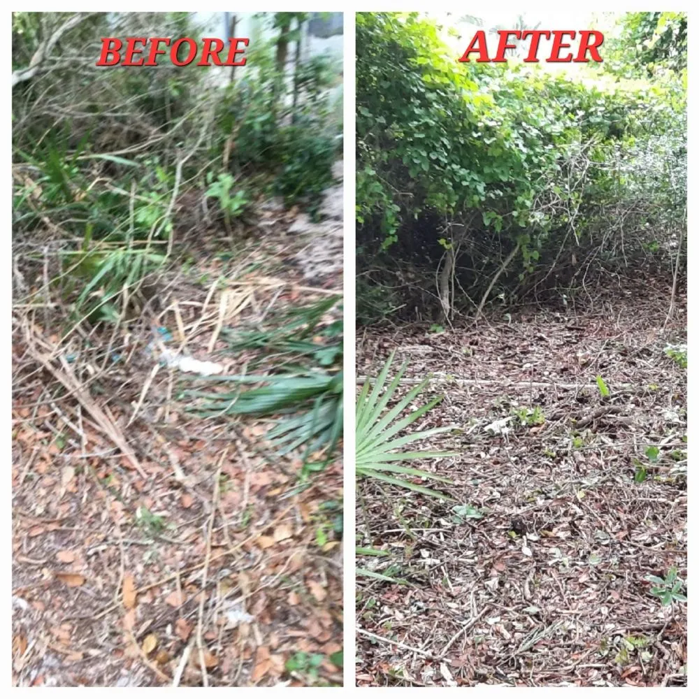 Top-rated landscape installation for homes across Santa Rosa Beach, FL - 30A A Cut Above The Rest
