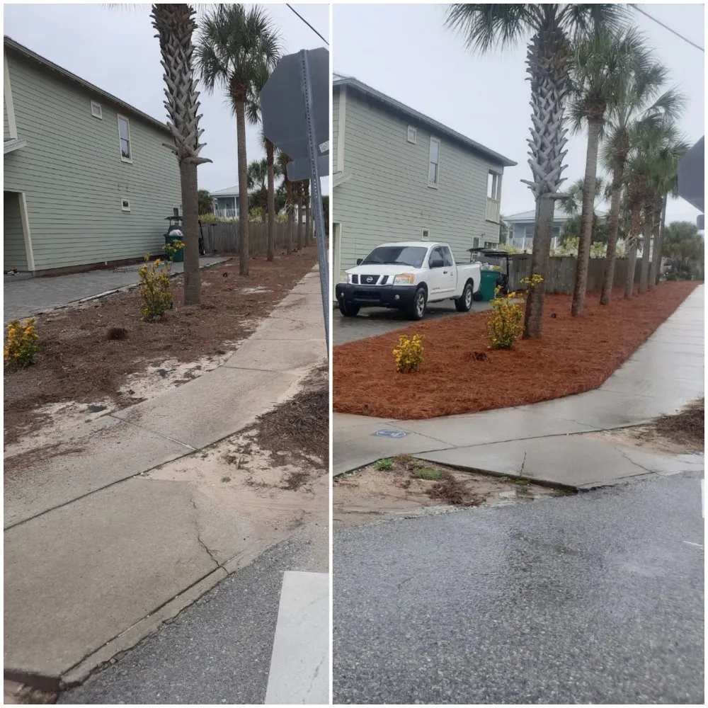 Trusted landscaping services in Santa Rosa Beach, FL - 30A A Cut Above The Rest