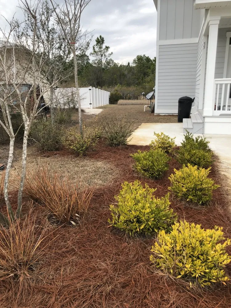 Local landscape installation experts serving Santa Rosa Beach, FL - 30A eco straw