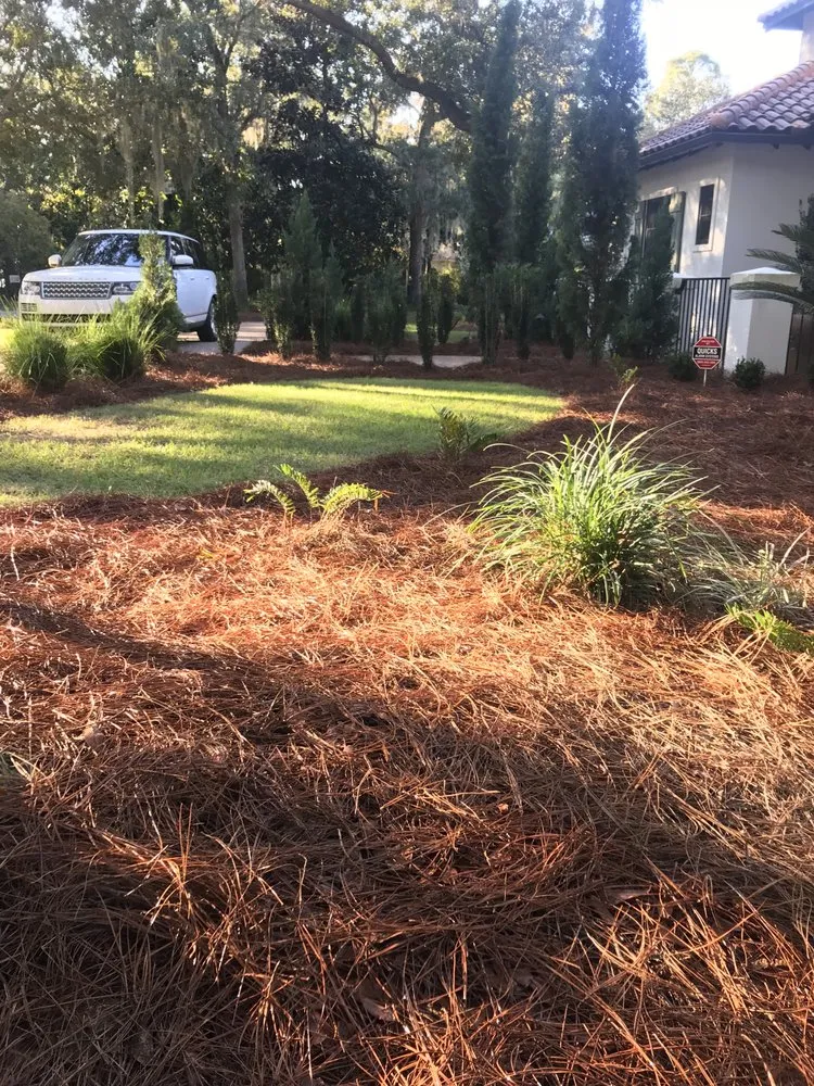 Reliable landscaping services for homes across Santa Rosa Beach, FL - 30A eco straw