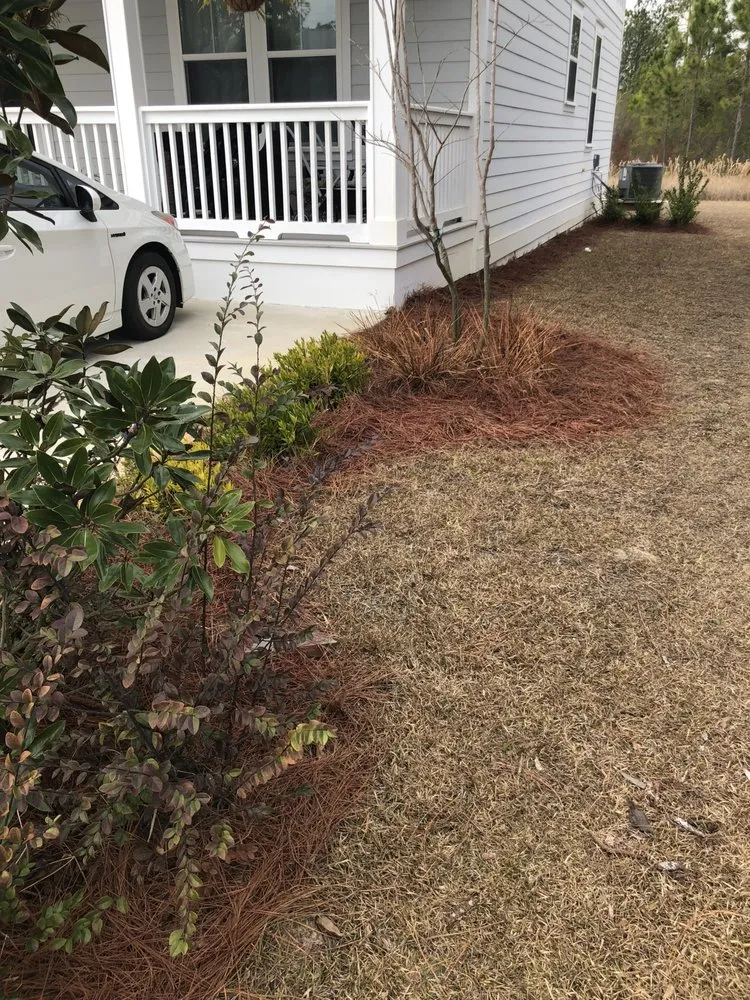 Expert yard maintenance in Santa Rosa Beach, FL - 30A eco straw