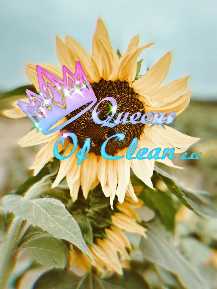 Custom landscaping services for homes in Panama City, FL by 30A Queens of Clean