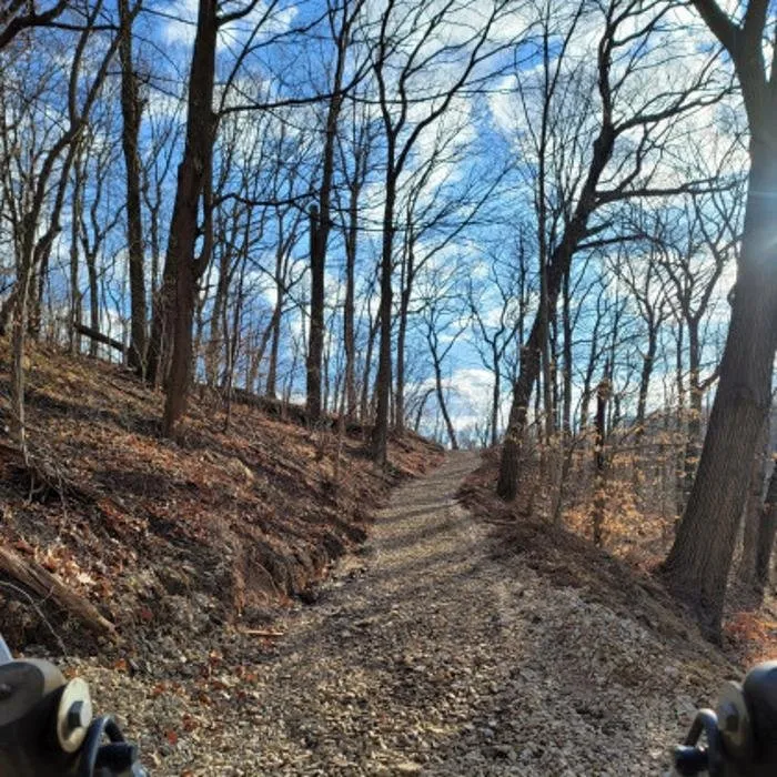 Custom yard cleanup service for residential properties in New Kensington, PA by 31 East Landscaping and Excavation