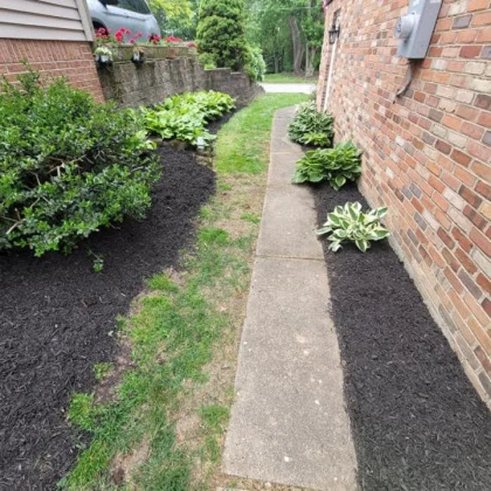Top-rated yard maintenance in New Kensington, PA - 31 East Landscaping and Excavation