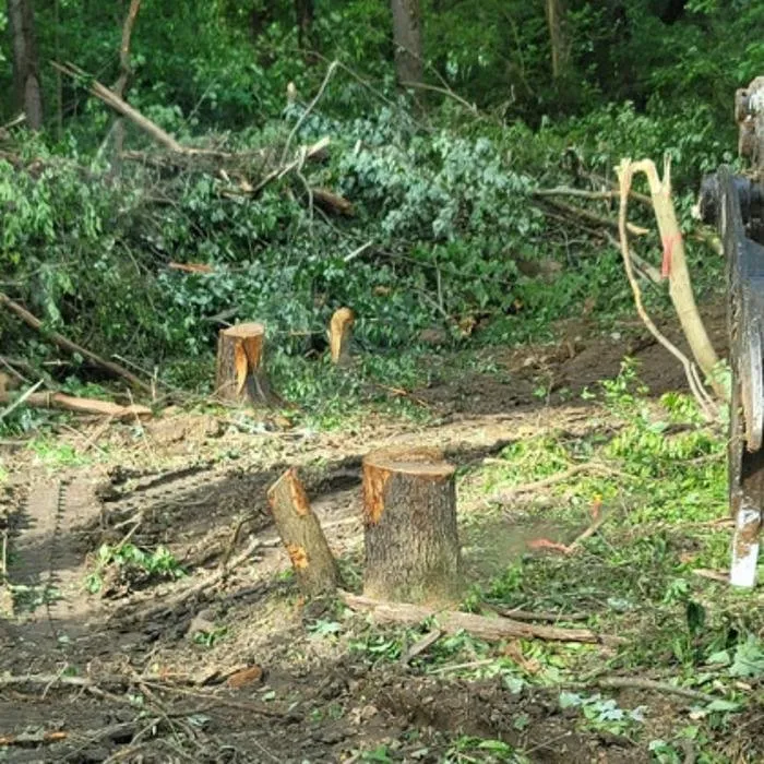 Custom outdoor landscaping in New Kensington, PA by 31 East Landscaping and Excavation