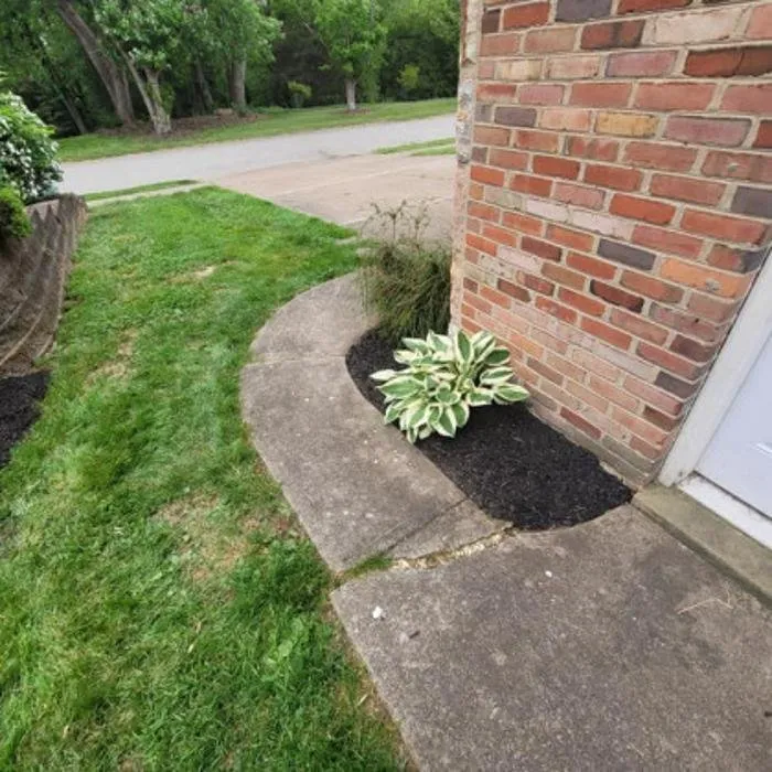 Top-rated yard cleanup service for year-round maintenance across New Kensington, PA - 31 East Landscaping and Excavation