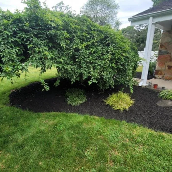 Professional landscape installation in New Kensington, PA - 31 East Landscaping and Excavation