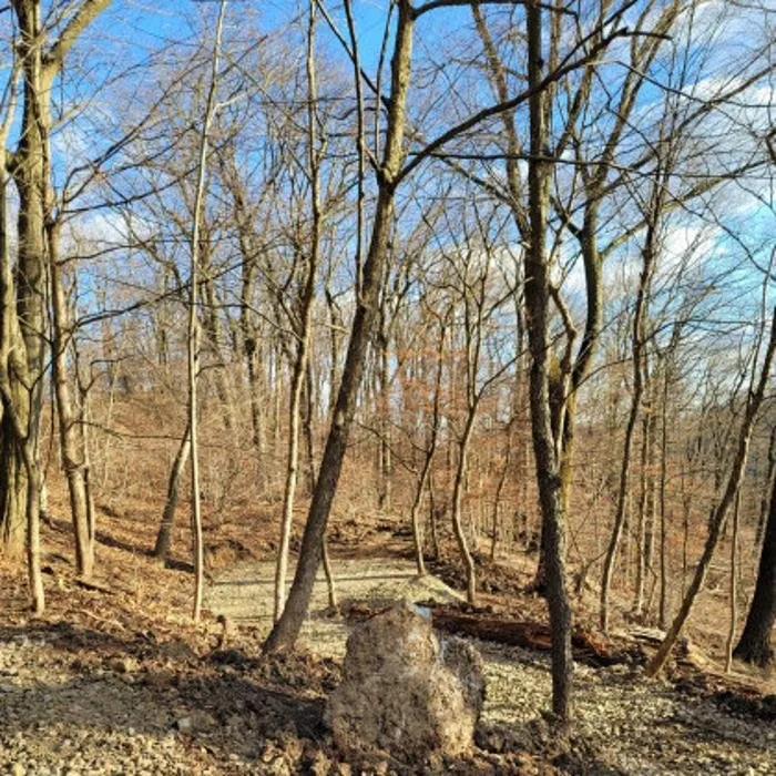 Top-rated yard maintenance in New Kensington, PA - 31 East Landscaping and Excavation